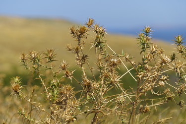 Similar image 21215317