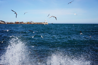 Similar image 21215319