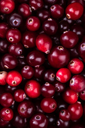 Similar image 21239343