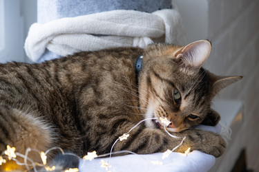 Similar image 21214950