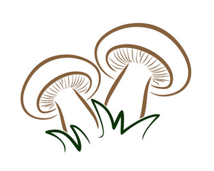 Similar image 21214792