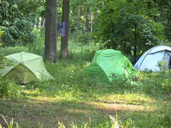 Similar image 21217362