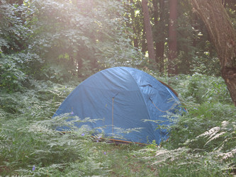 Similar image 21217364