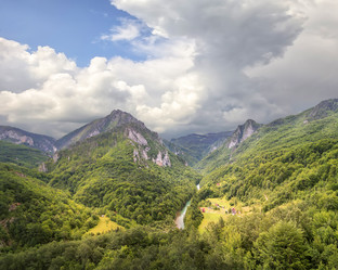 Similar image 21216448