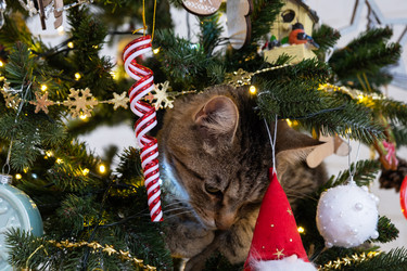 Similar image 21215017