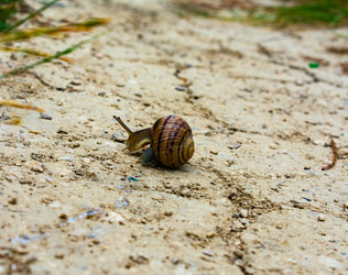 Similar image 21216089