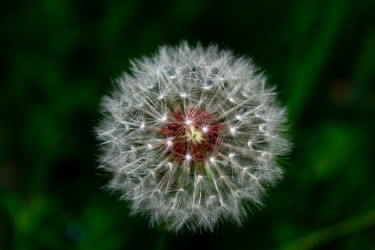 Similar image 21216091