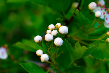 Similar image 21216094