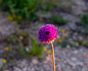 Similar image 21216095