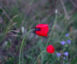 Similar image 21216096