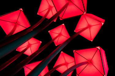 Similar image 21216097