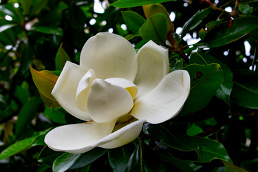 Similar image 21216098