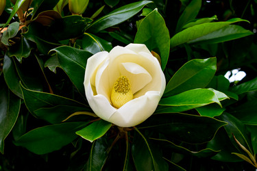 Similar image 21216099