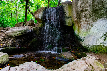 Similar image 21216101