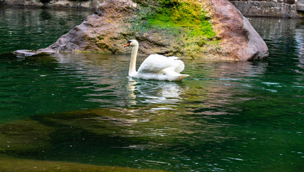 Similar image 21216102