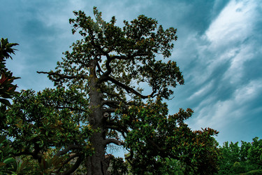 Similar image 21216105