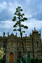 Similar image 21216106