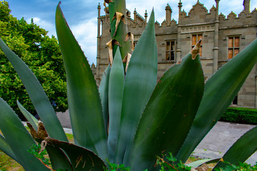 Similar image 21216107