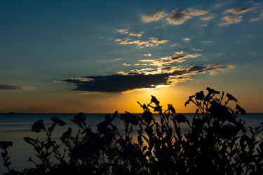 Similar image 21216110