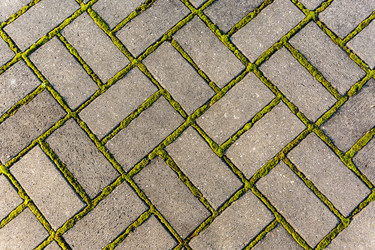 Similar image 21214805