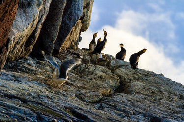 Similar image 21214810