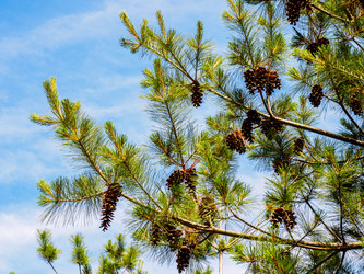 Similar image 21214817