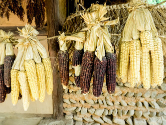 Similar image 21214820