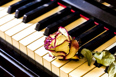 Similar image 21214821