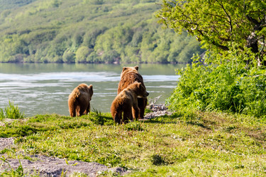 Similar image 21214823