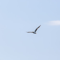 Similar image 21214828