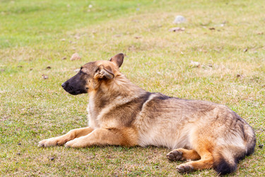 Similar image 21214833