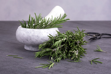 Similar image 21215795