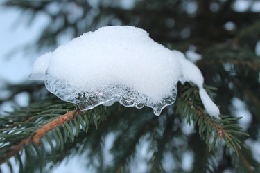 Similar image 21217562