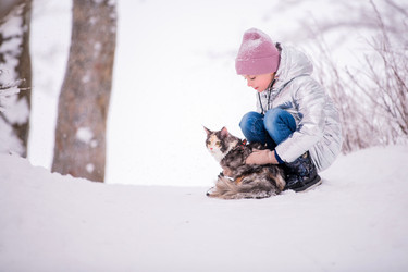 Similar image 21215547