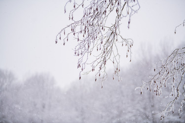 Similar image 21215563