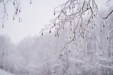 Similar image 21215565