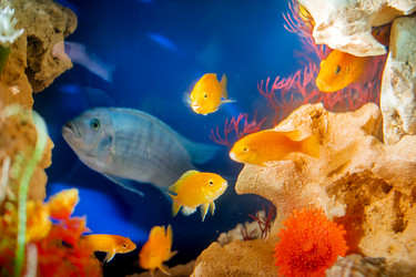 Similar image 21215567