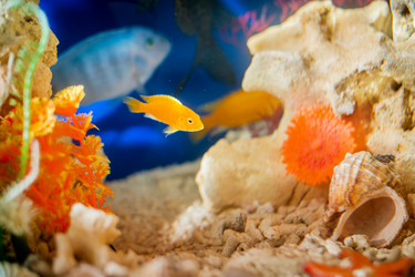 Similar image 21215571