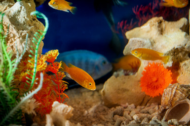 Similar image 21215575