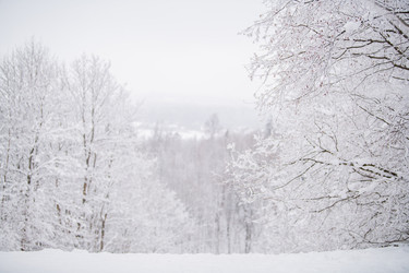 Similar image 21215582