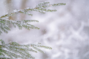 Similar image 21215583