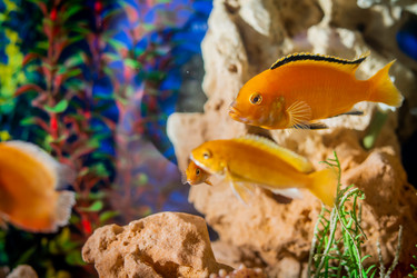 Similar image 21215587