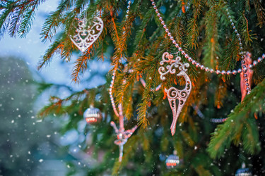 Similar image 21215590