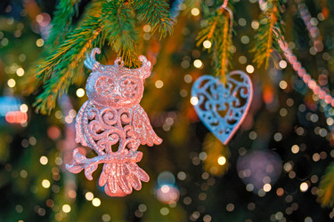 Similar image 21215592