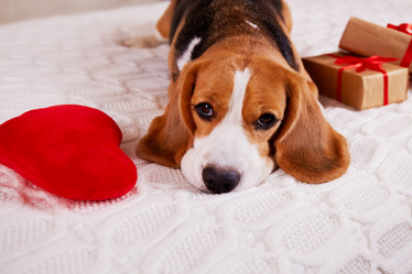 Similar image 21225956