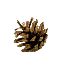 Similar image 21218257