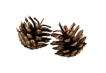 Similar image 21218258