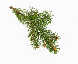 Similar image 21218262