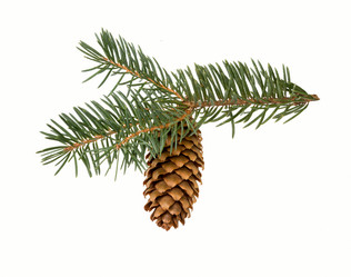 Similar image 21218264