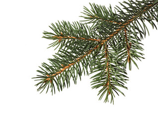 Similar image 21218266